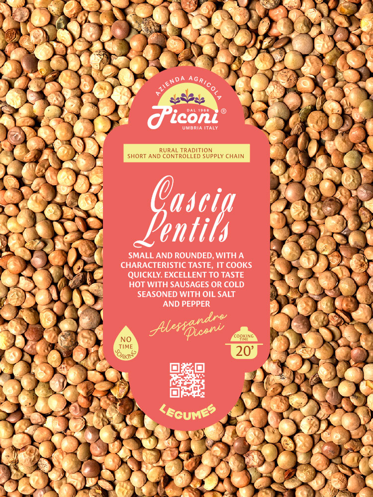 Lenticchia di Cascia