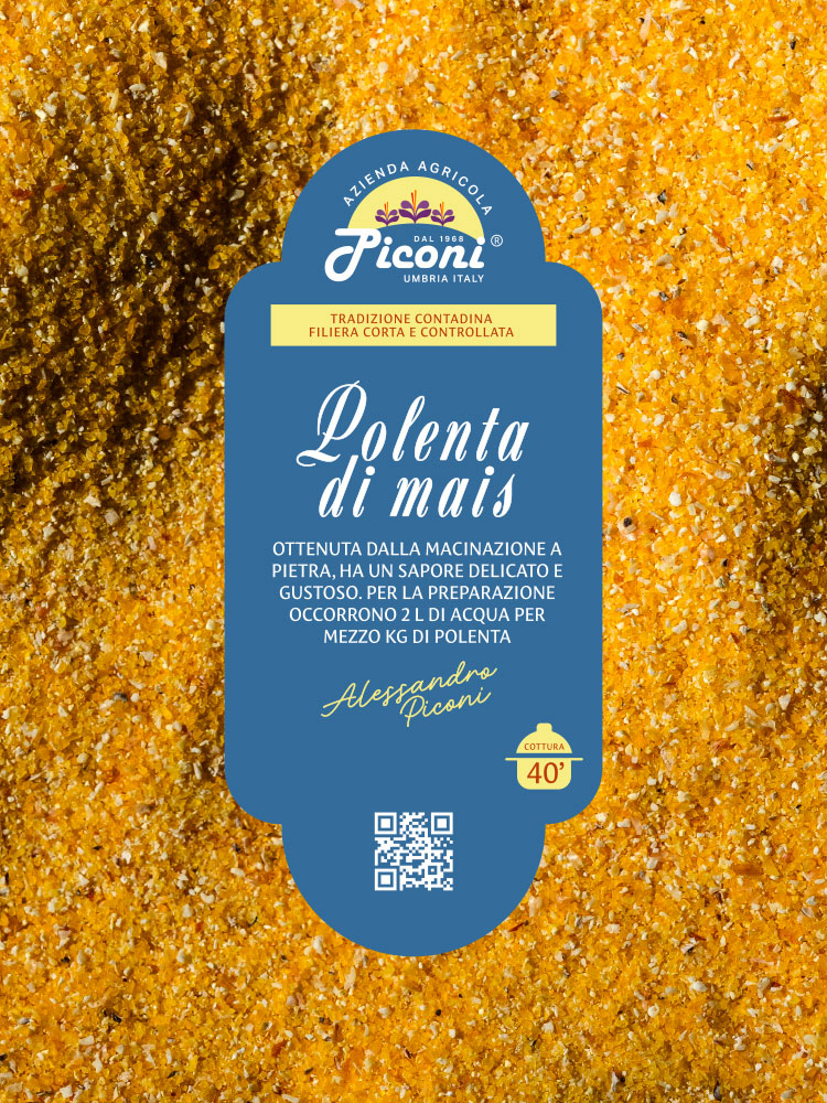 Polenta di mais