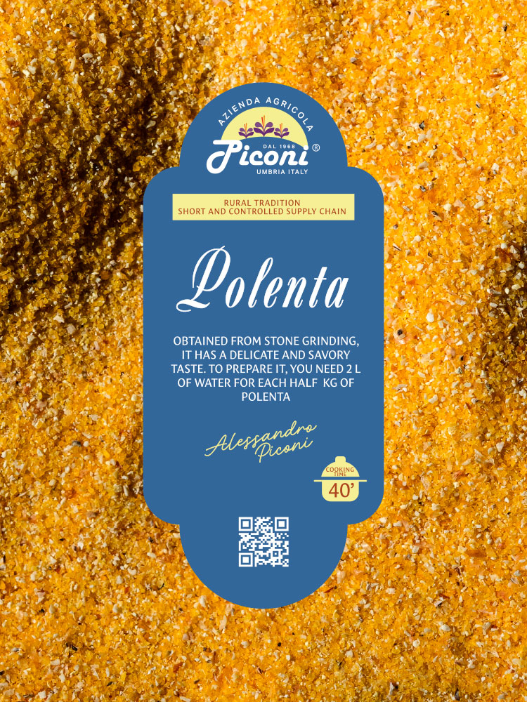 Polenta di mais