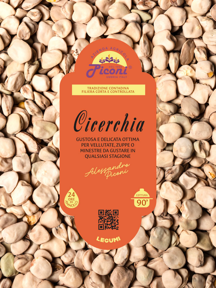 Cicerchia