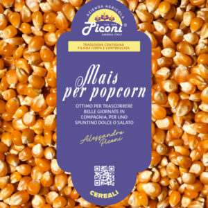 Mais per popcorn