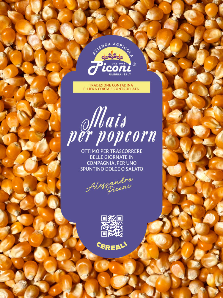 Mais per popcorn