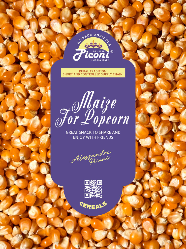 Mais per popcorn