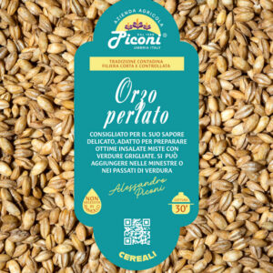 Orzo perlato