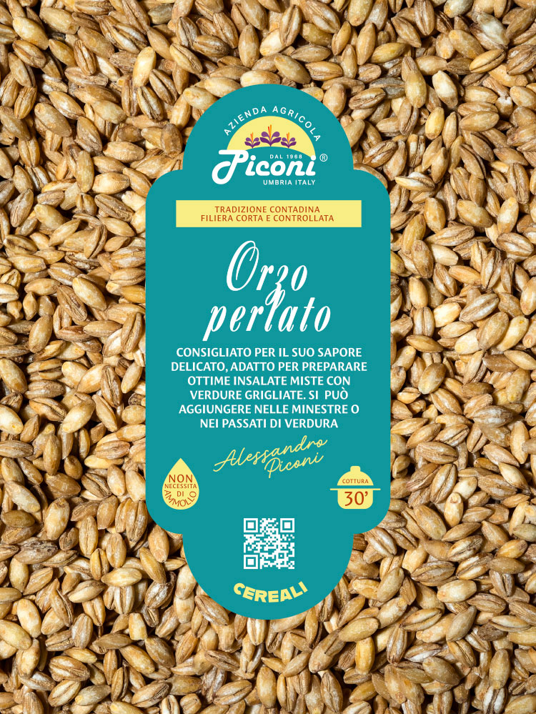 Orzo perlato